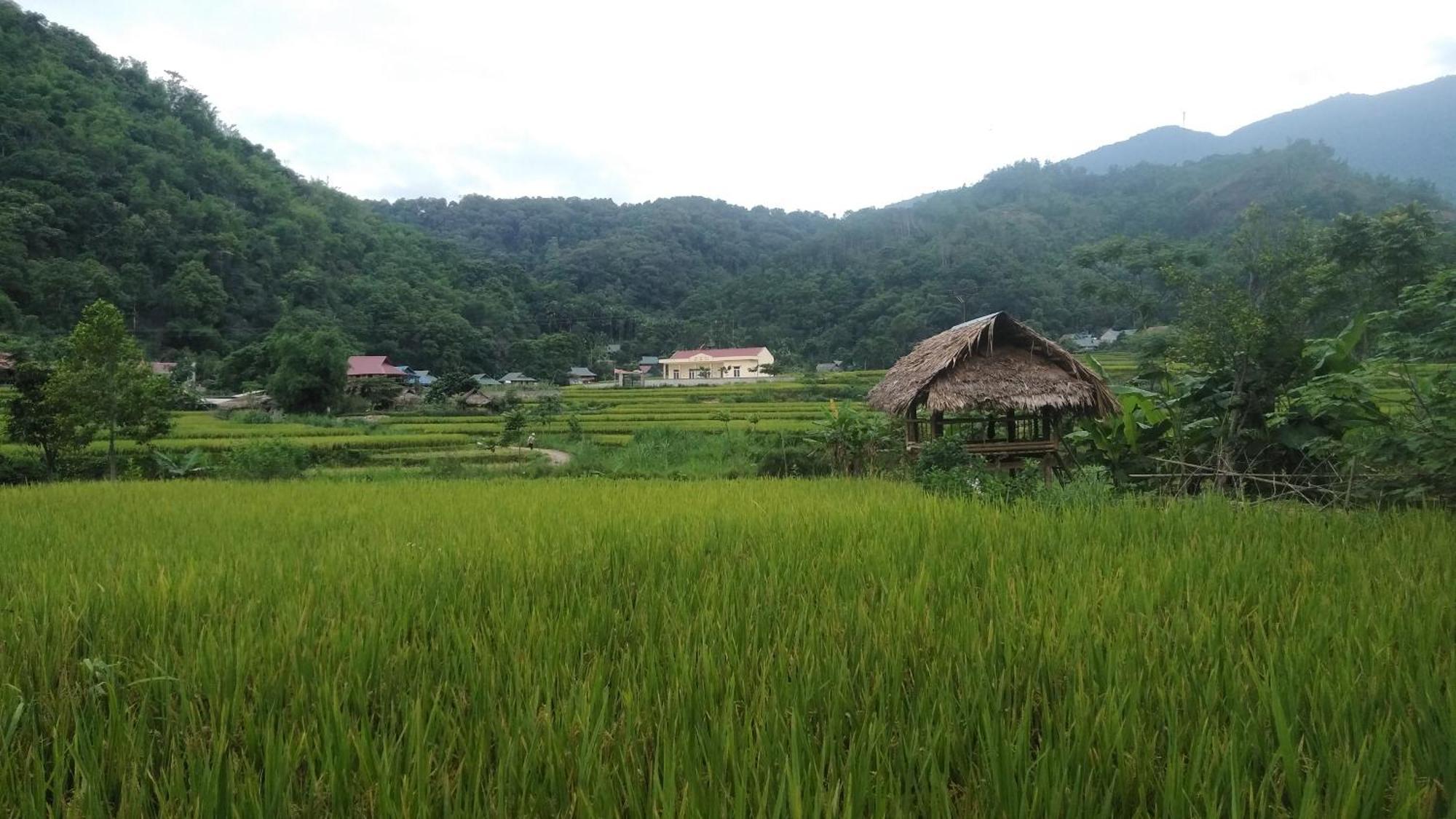 Puluong Aroma Bed & Breakfast Huong Ba Thuoc Exterior photo